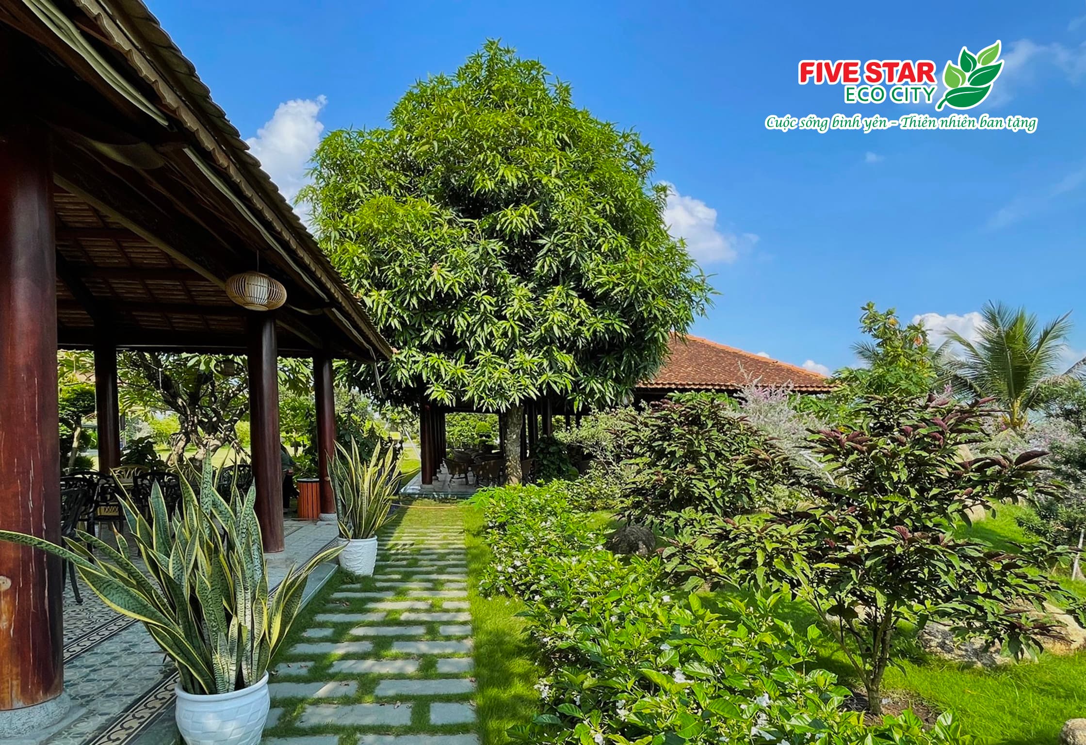 Hình ảnh thực tế tại dự án Five Star Eco City
