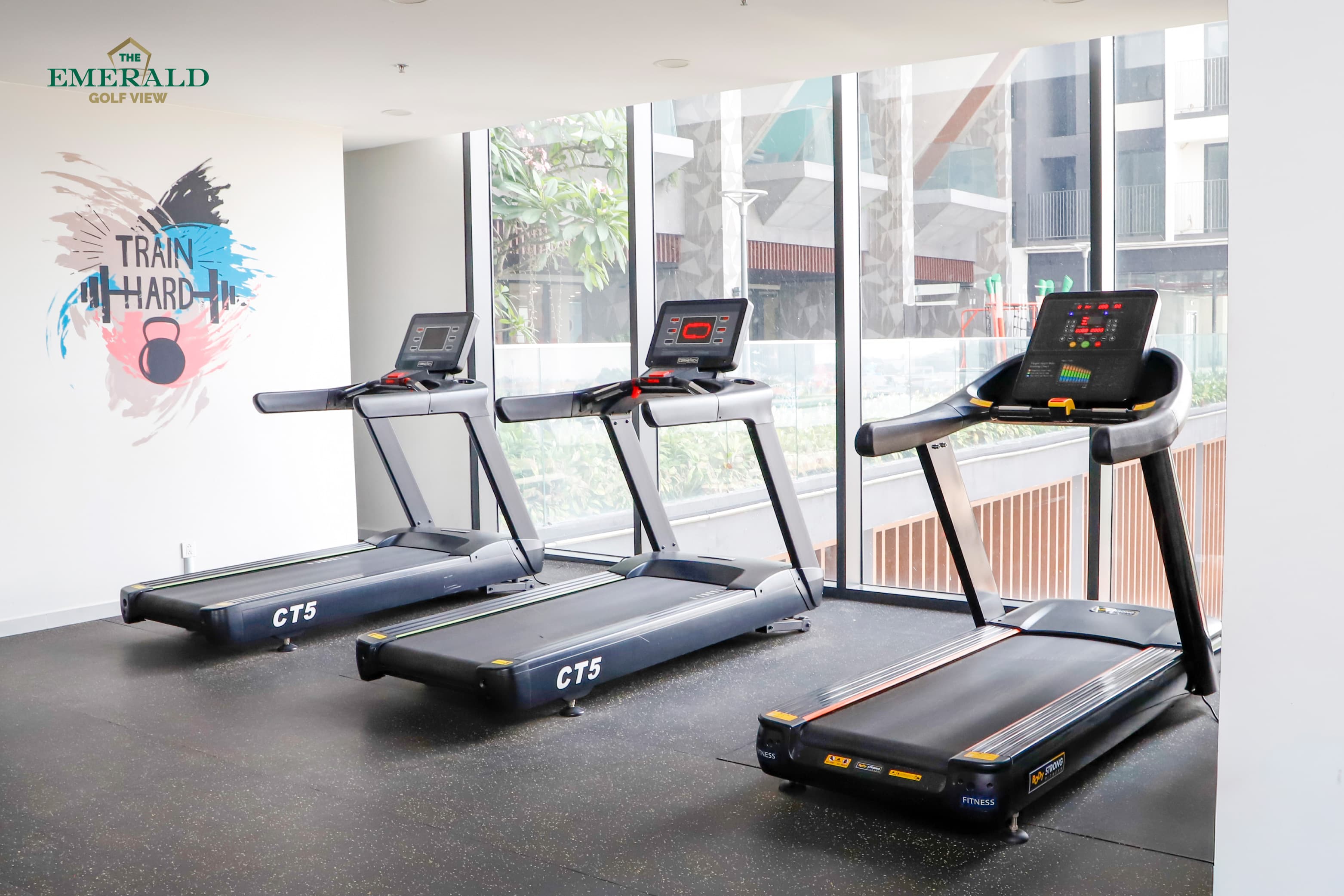 EGV_Hinh thuc te_Tien ich noi khu_Phong Gym