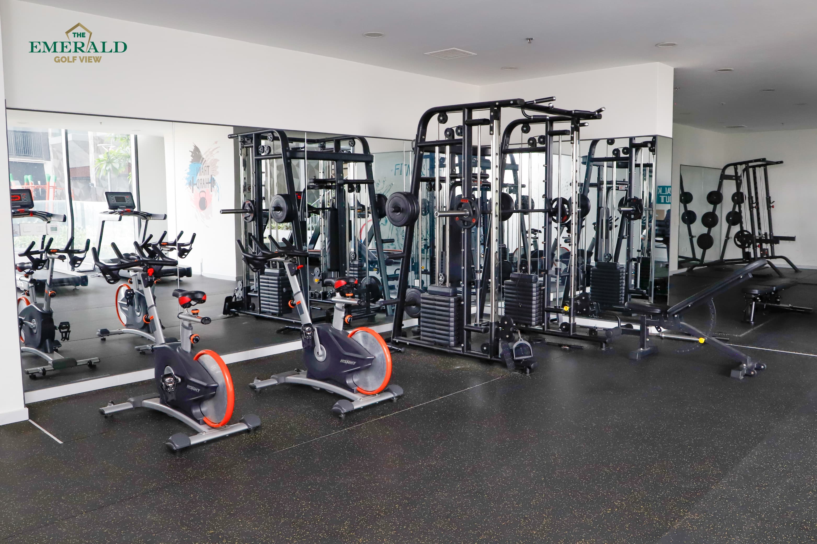 EGV_Hinh thuc te_Tien ich noi khu_Phong gym