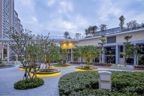 Phối cảnh dự án Terra Luxury