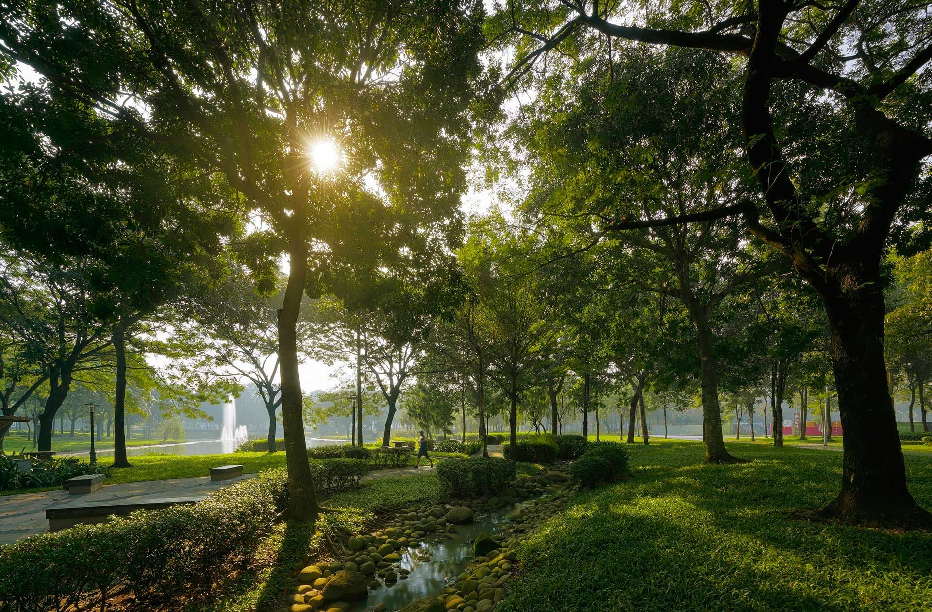 Phối cảnh dự án Spring Ville