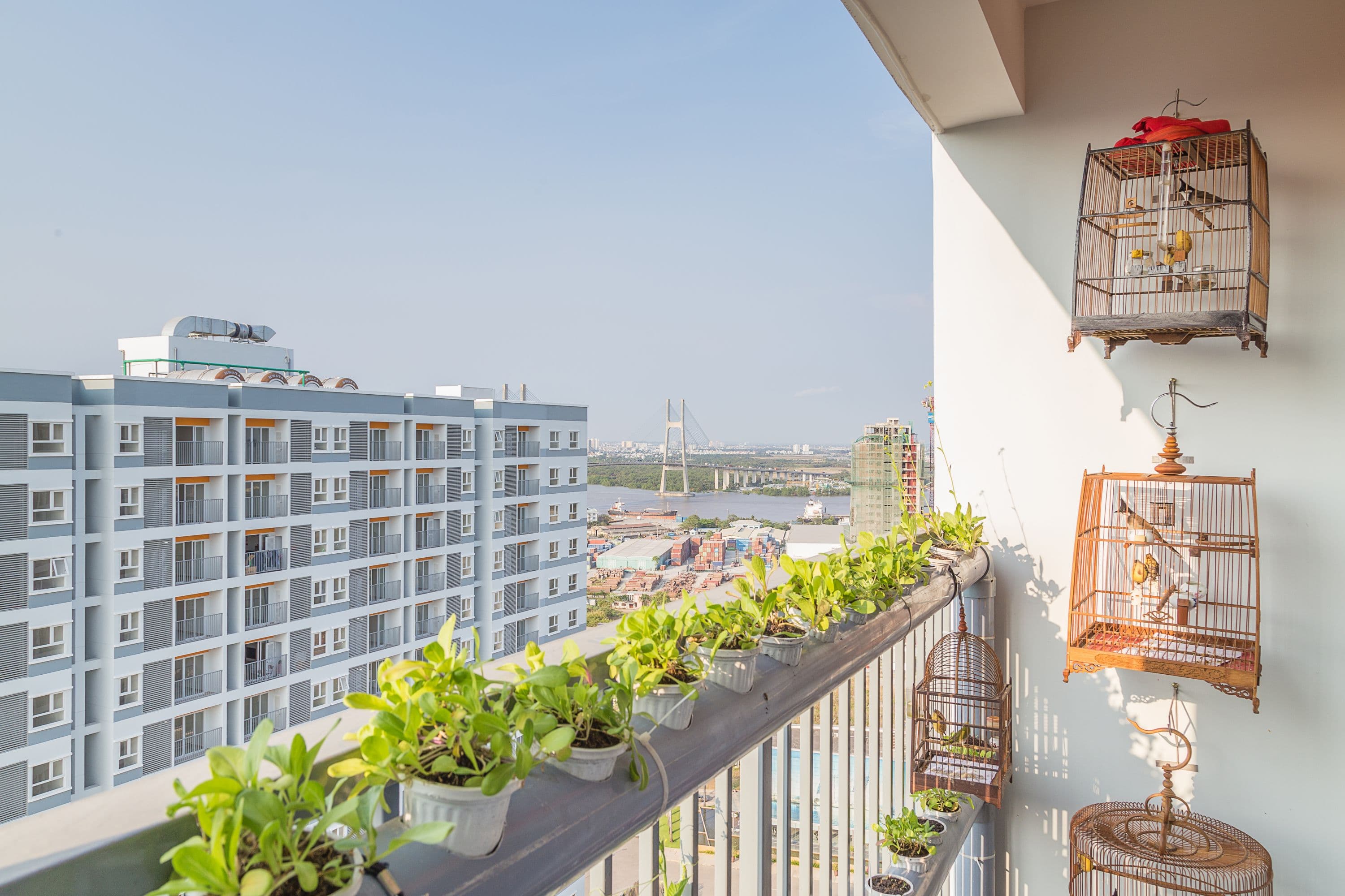 Căn hộ mẫu tại Jamona City