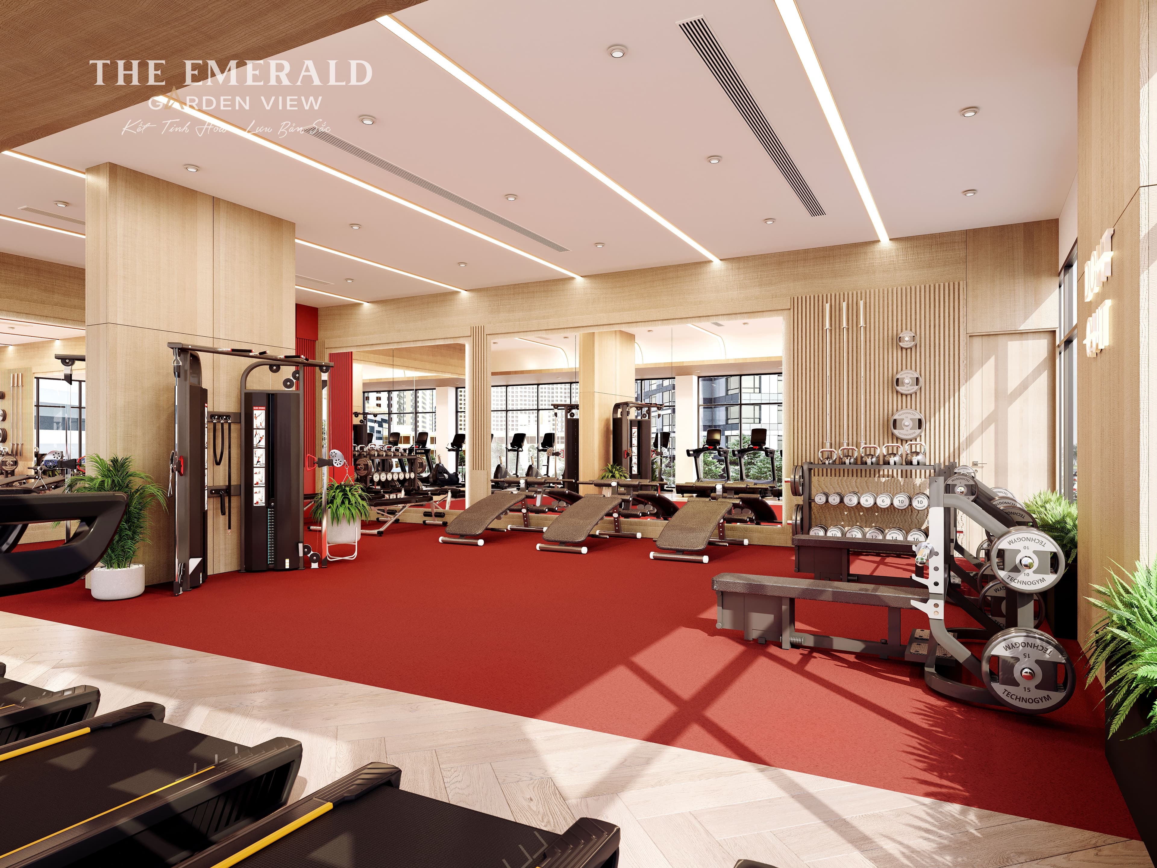 Tang 4 - Phong Gym (1)_result