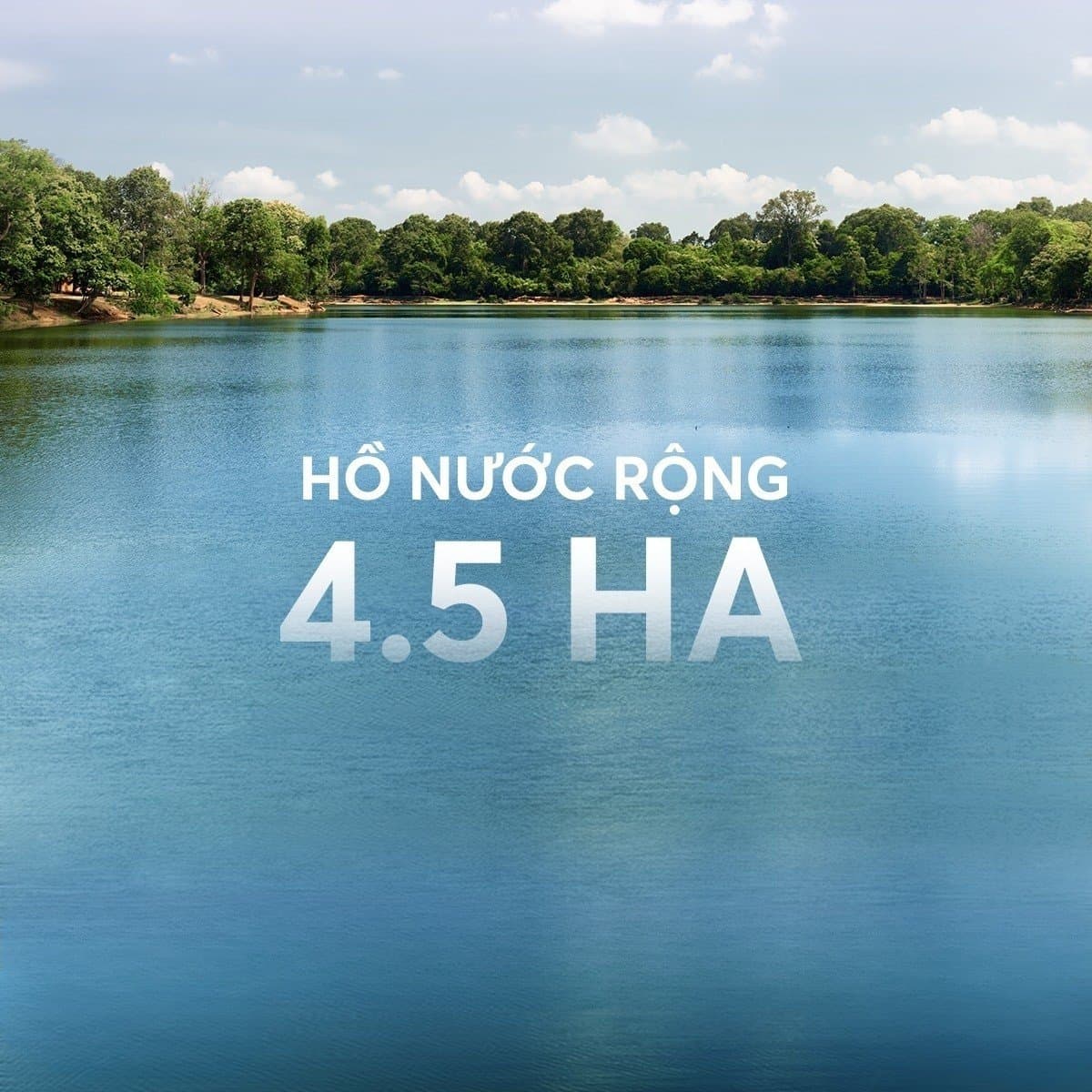 Phối cảnh dự án The 9 Stellars